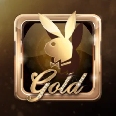 Playboy Gold - IDAGENT138