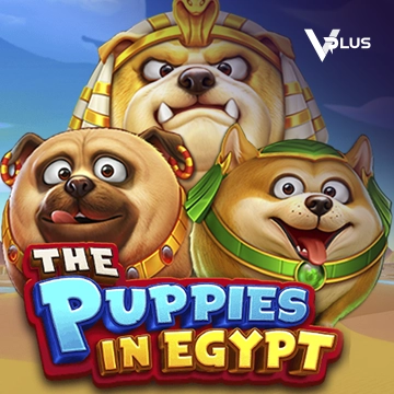 The Puppies In Egypt - IDAGENT138