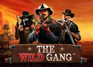 Pragmatic : The Wild Gang - IDAGENT138