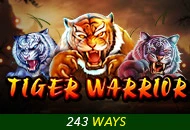 Spadegaming : Tiger Warrior - IDAGENT138