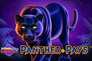 Panther Pays Power Play Jackpot - IDAGENT138