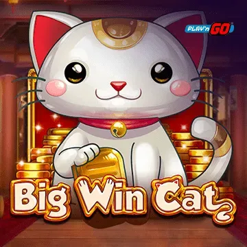 Big Win Cat - IDAGENT138