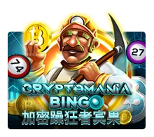 Crypto Mania Bingo - IDAGENT138