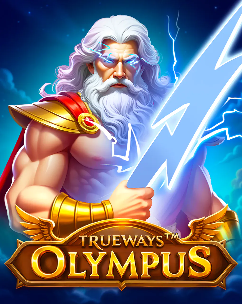 Olympus TRUEWAYS - IDAGENT138