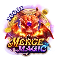 Facai : MERGE MAGIC - IDAGENT138