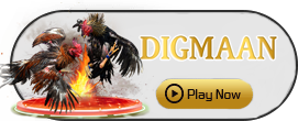 Digman - IDAGENT138